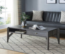 Jasper Storage Coffee Table (Grey)