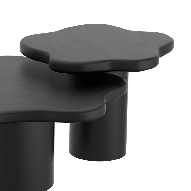 Mayal Small Black Mango Wood Coffee Table, Unique Freeform Design