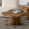 Mayal Mid-Century Modern Walnut Coffee Table with Unique Freeform Design