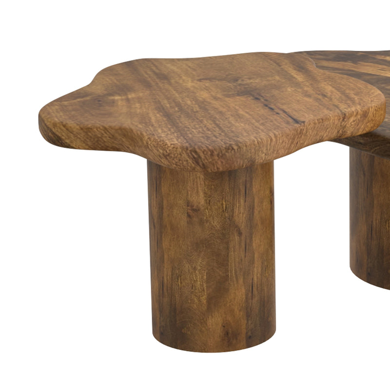 Mayal Mid-Century Modern Walnut Coffee Table with Unique Freeform Design