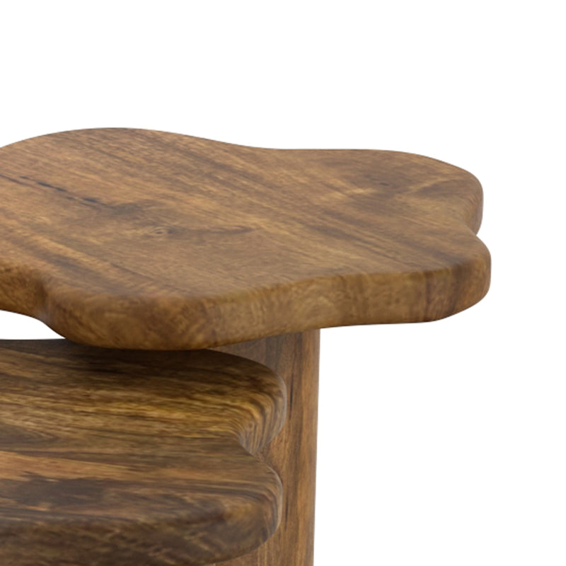 Mayal Mid-Century Modern Walnut Coffee Table with Unique Freeform Design