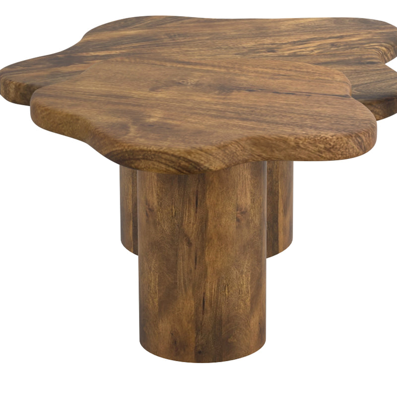 Mayal Mid-Century Modern Walnut Coffee Table with Unique Freeform Design