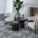 Mayal 2pc Coffee Table Set in Black: Mid-Century Modern Freeform Design for Any Home