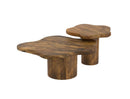 Mayal 2pc Modern Walnut Coffee Table Set, Solid Mango Wood, Nesting Design