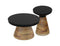 Boden 2pc Coffee Table Set: Modern Black Iron Top with Walnut Wood Base