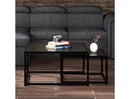 Quinn 2-Piece Contemporary Black Coffee Table Set with Nested Design