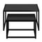 Quinn 2-Piece Contemporary Black Coffee Table Set with Nested Design