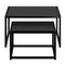Quinn 2-Piece Contemporary Black Coffee Table Set with Nested Design
