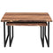Jivin 2-Piece Nesting Coffee Table Set: Natural Acacia Wood & Black Iron Frame