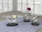 Chantal 3 Piece Coffee Table Set (Black & Silver)