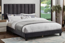 [ T2118 -Bed ] - Custom Furniture Manufacturer Brampton, Toronto, Vaughan, Mississauga, Ontario, Oakville, Hamilton