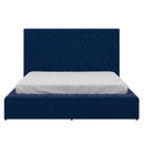 Adonis 60" Queen Platform Bed with Storage in Blue