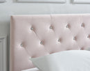 Elle Platform Bed in Blush - sydneysfurniture