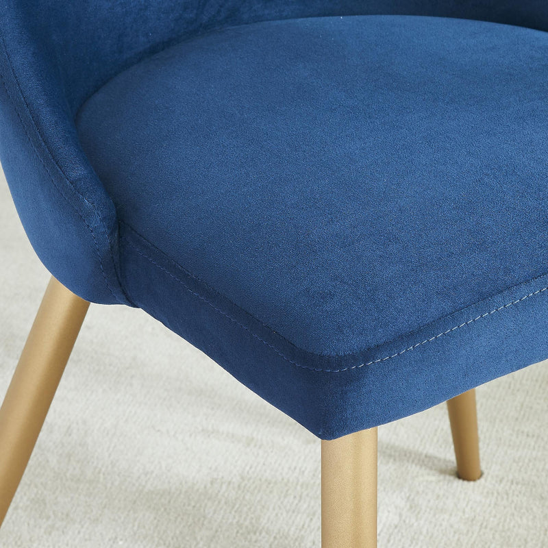 Carmen Side Chair, set of 2, in Blue - sydneysfurniture