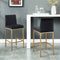 Diaz 26'' Counter Stool, set of 2, in Black with Gold Legs - sydneysfurniture