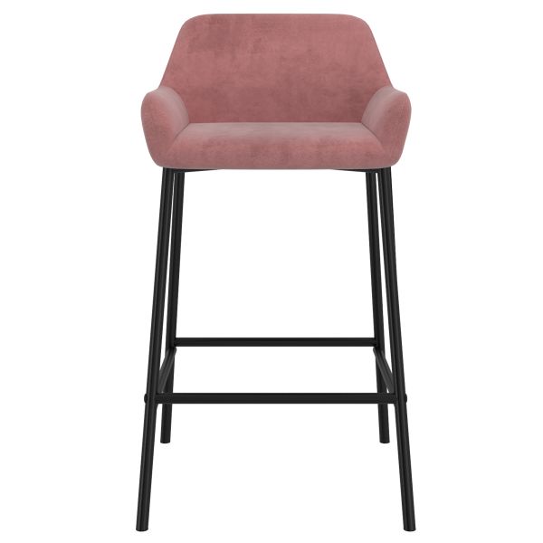 Baily 26'' Counter Stool, set of 2 in Dusty Rose