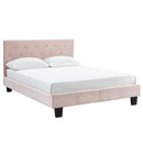 [ Elle Platform Bed in Blush ] - Custom Furniture Manufacturer Brampton, Toronto, Vaughan, Mississauga, Ontario, Oakville, Hamilton
