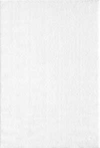 GLAM SHAGGY01800A WHITE