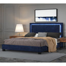 [ Rome Blue Velvet Platform bed With Light ] - Custom Furniture Manufacturer Brampton, Toronto, Vaughan, Mississauga, Ontario, Oakville, Hamilton