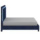 [ Rome Blue Velvet Platform bed With Light ] - Custom Furniture Manufacturer Brampton, Toronto, Vaughan, Mississauga, Ontario, Oakville, Hamilton
