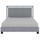 [ Rome Grey Velvet Platform bed With Light ] - Custom Furniture Manufacturer Brampton, Toronto, Vaughan, Mississauga, Ontario, Oakville, Hamilton
